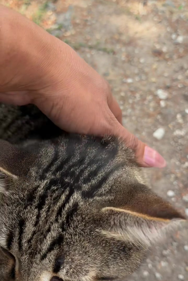 @Öykü