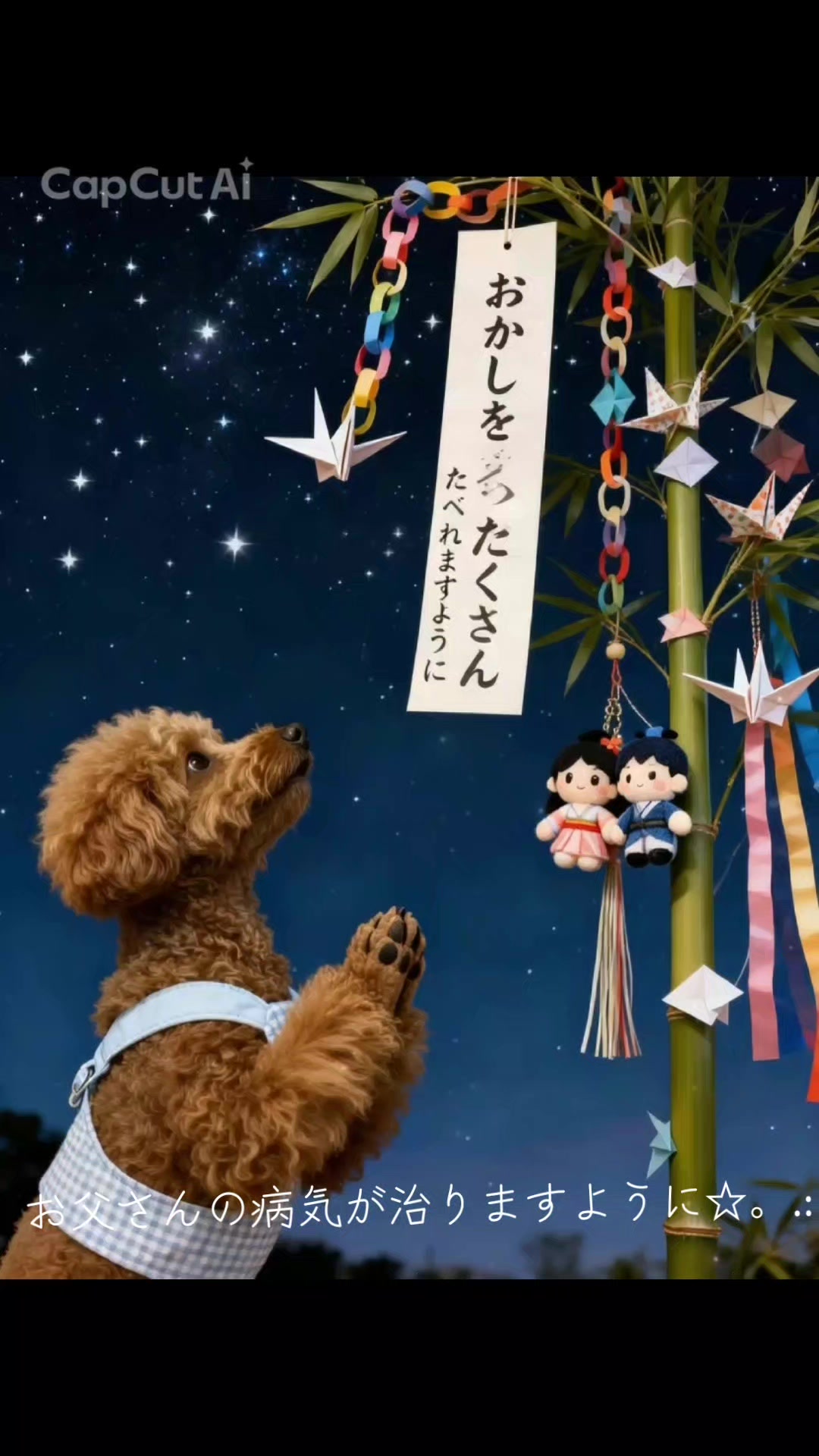 @ふじみ