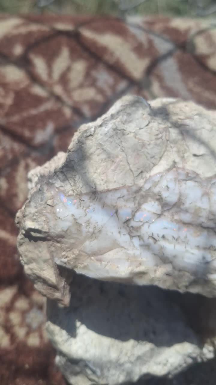 @Nevada HIGHDesert