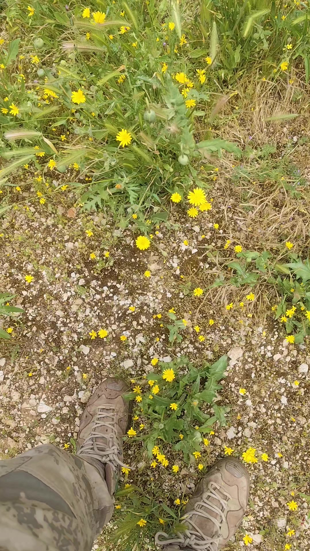 @Mardinli 4747