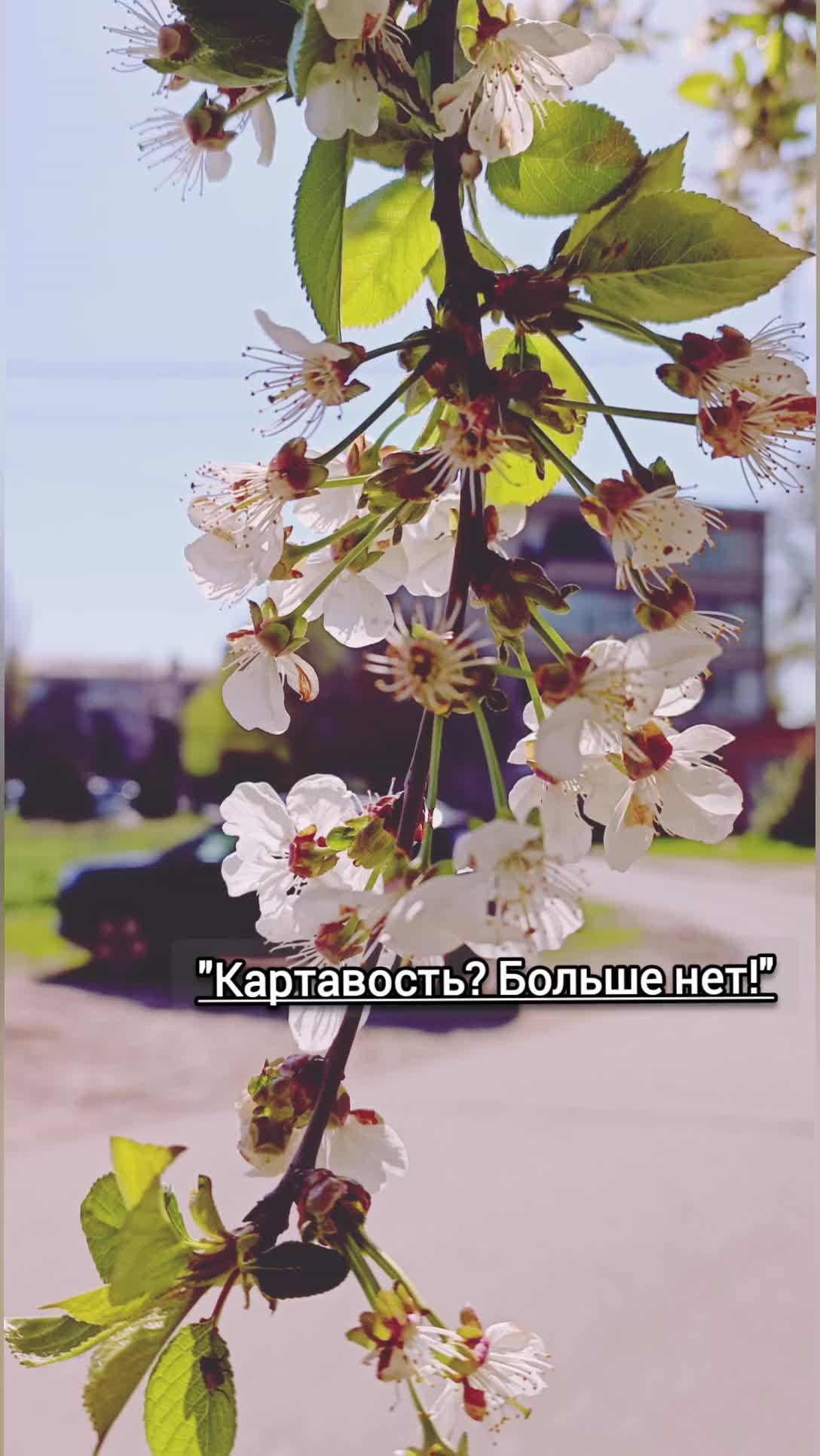 @oksanamalgina