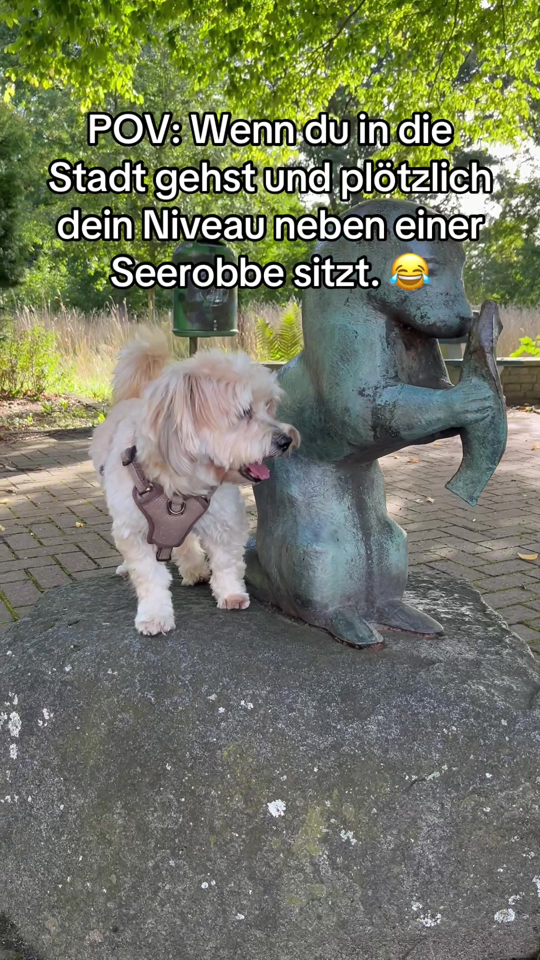 @DogMilow