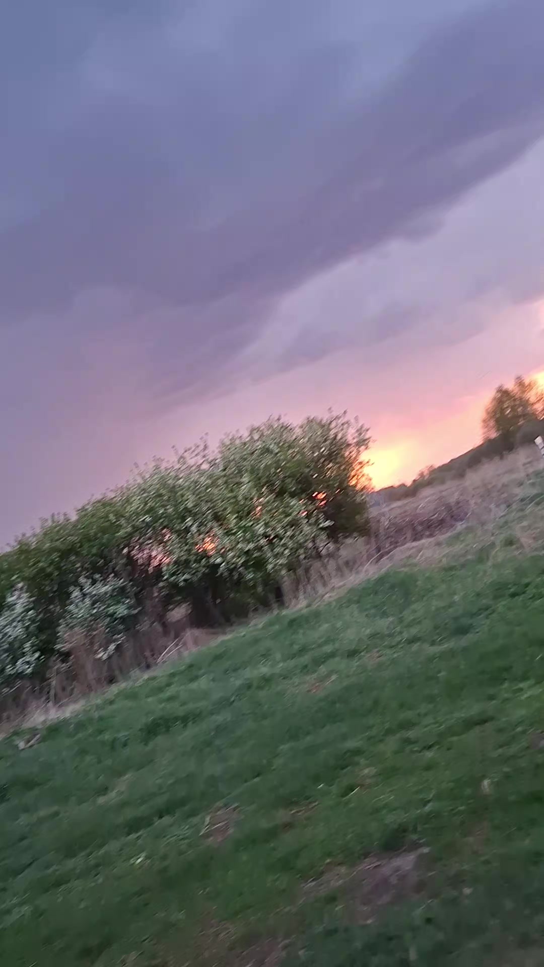 @Анастасия Корчагина