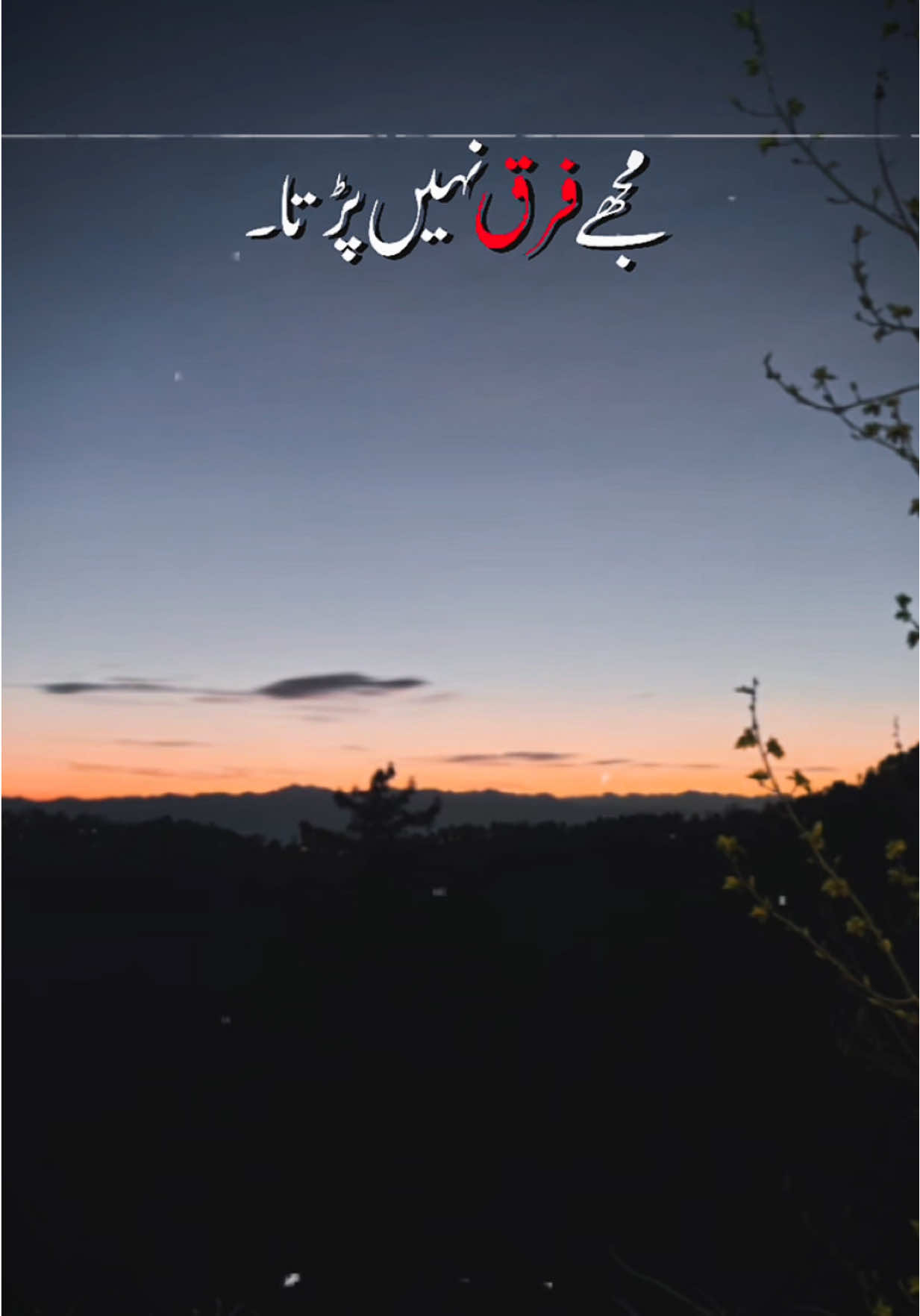 @Uzma Nasir 🦋