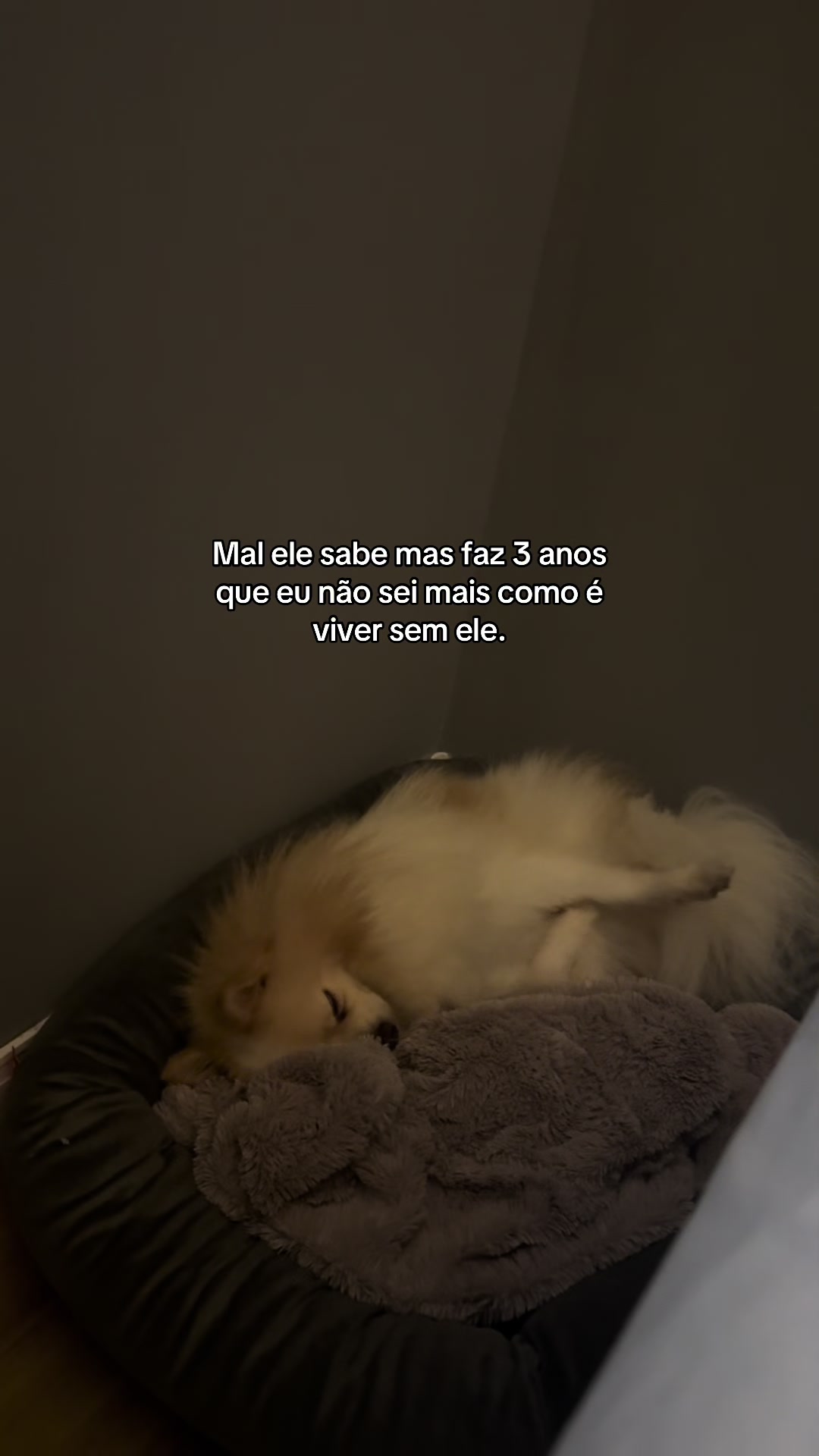 @eumandy.lia