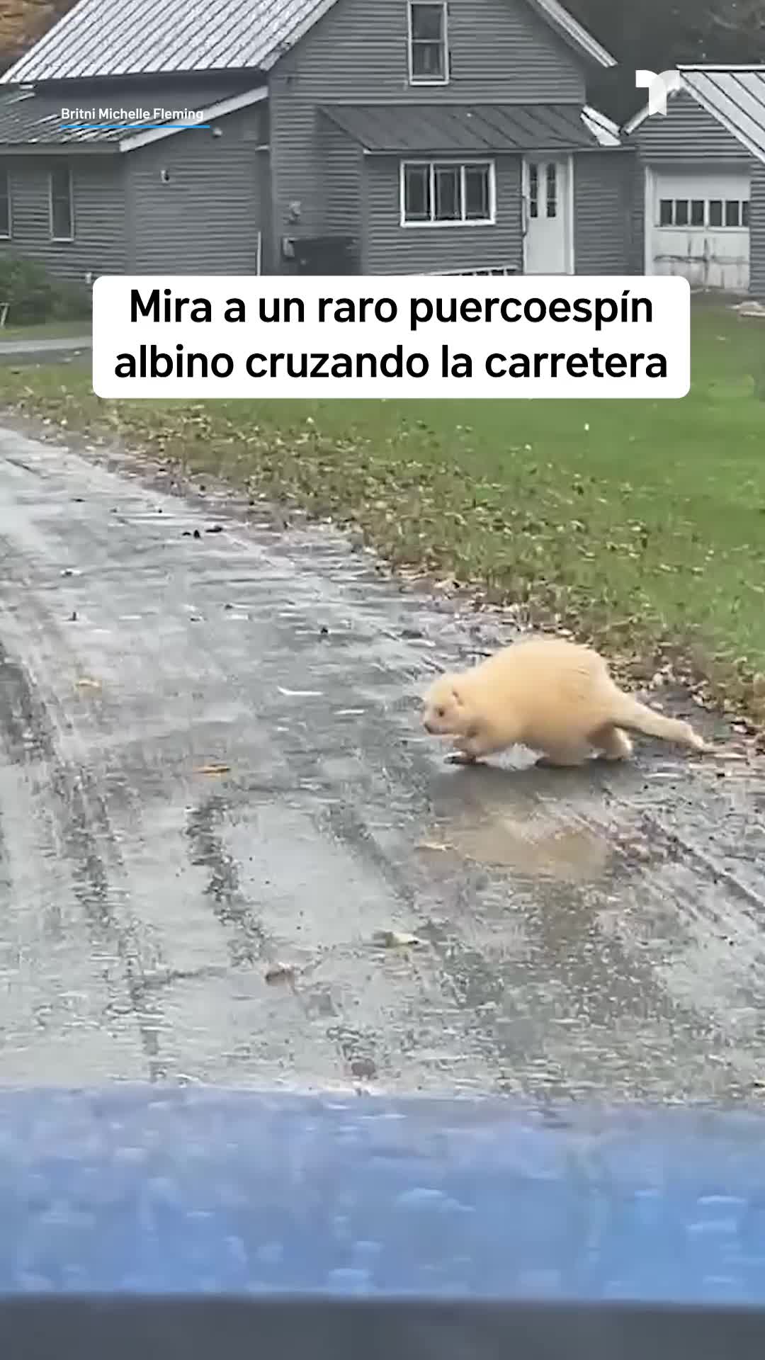 @Telemundo47