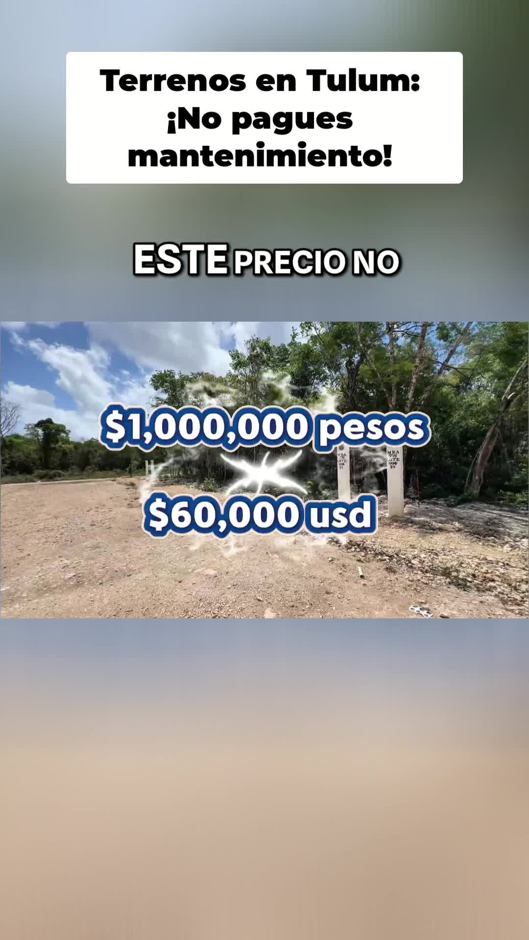@America vega inmobiliaria