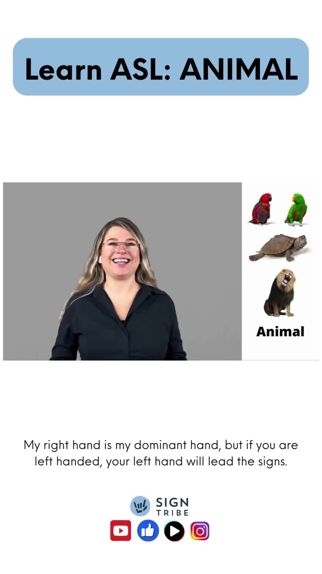 @Sign Tribe | ASL Courses