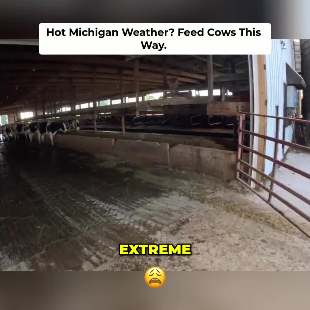 @Kip Siegler Farming