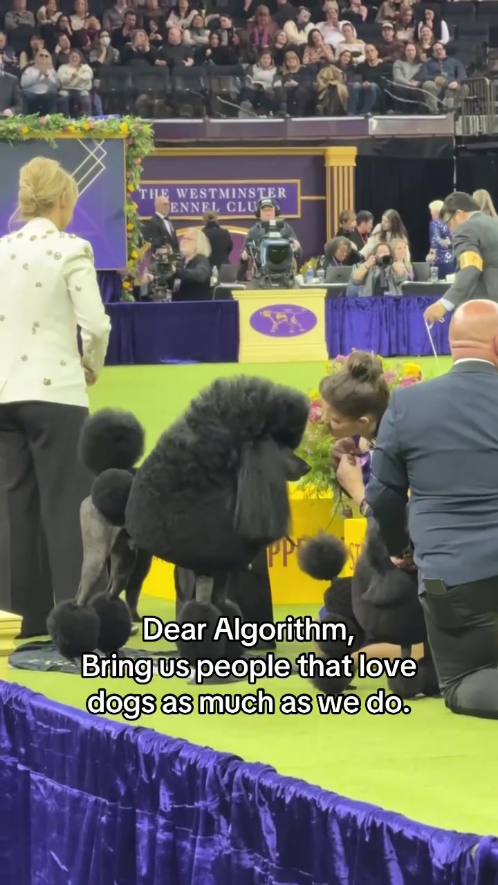 @Westminster Kennel Club