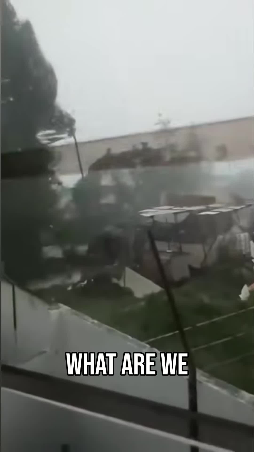 @🌪️ tornado season 🌪️
