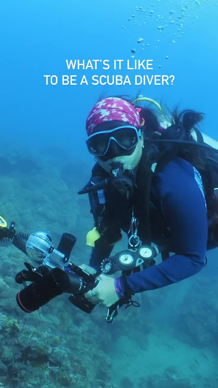 @Scuba Diving with Ara
