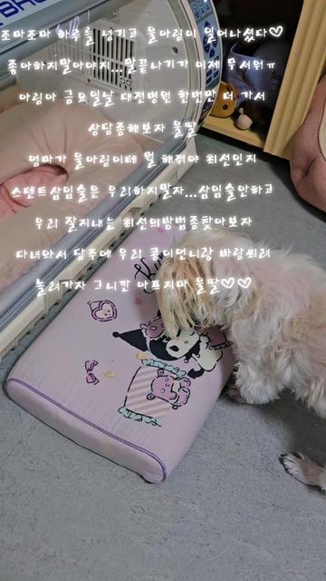 @아콩맘♡