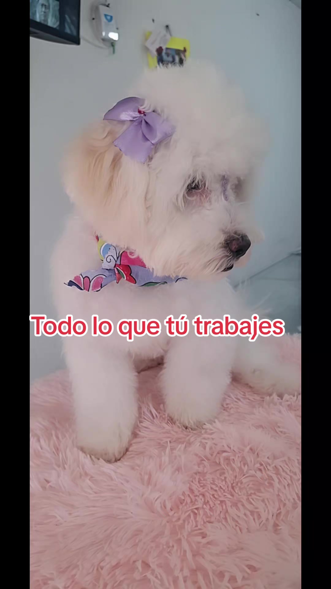@Carolina villegas