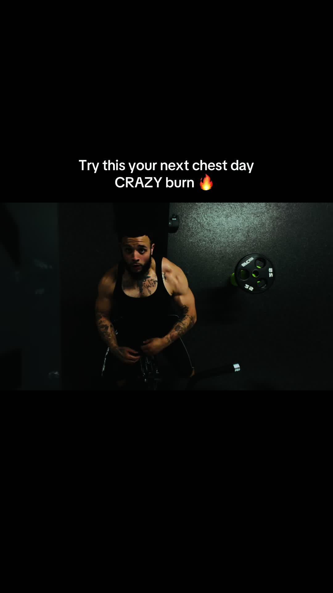 @Proteinpapi