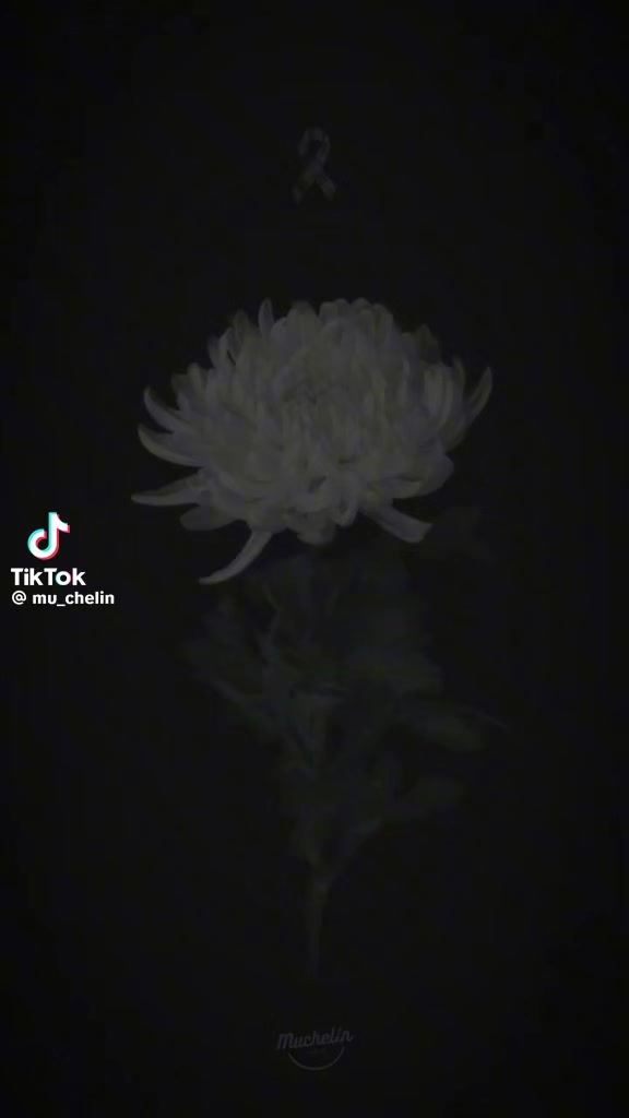 @✨️⋆⃝🪞악마계의하나✨️⋆⃝🪞