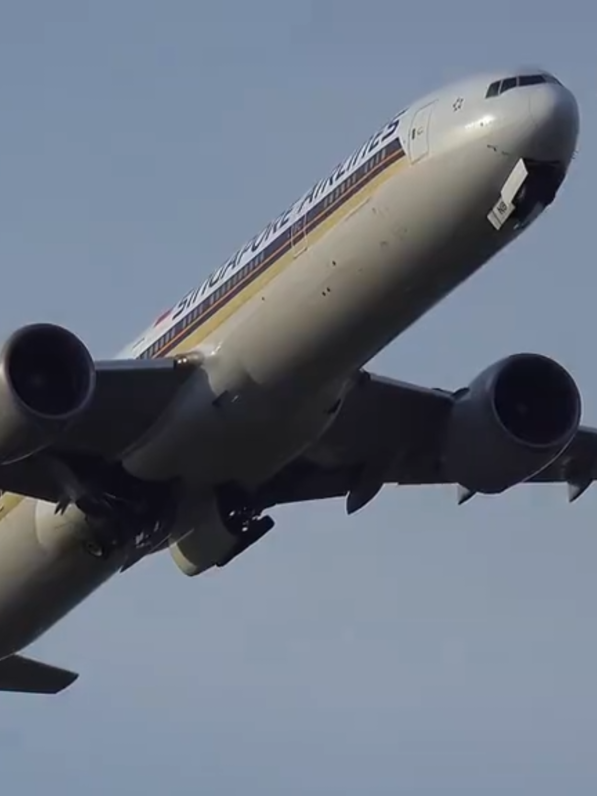 @𝘾𝙖𝙩𝘼𝙫𝙞𝙖𝙩𝙞𝙤𝙣