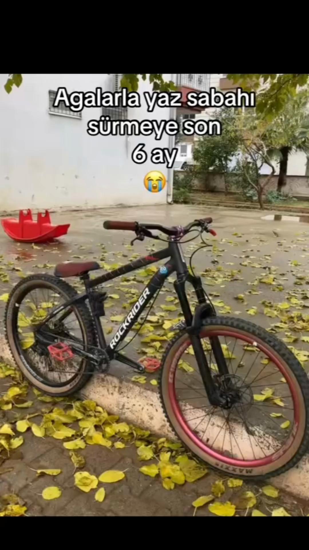 @7felextalsaoha
