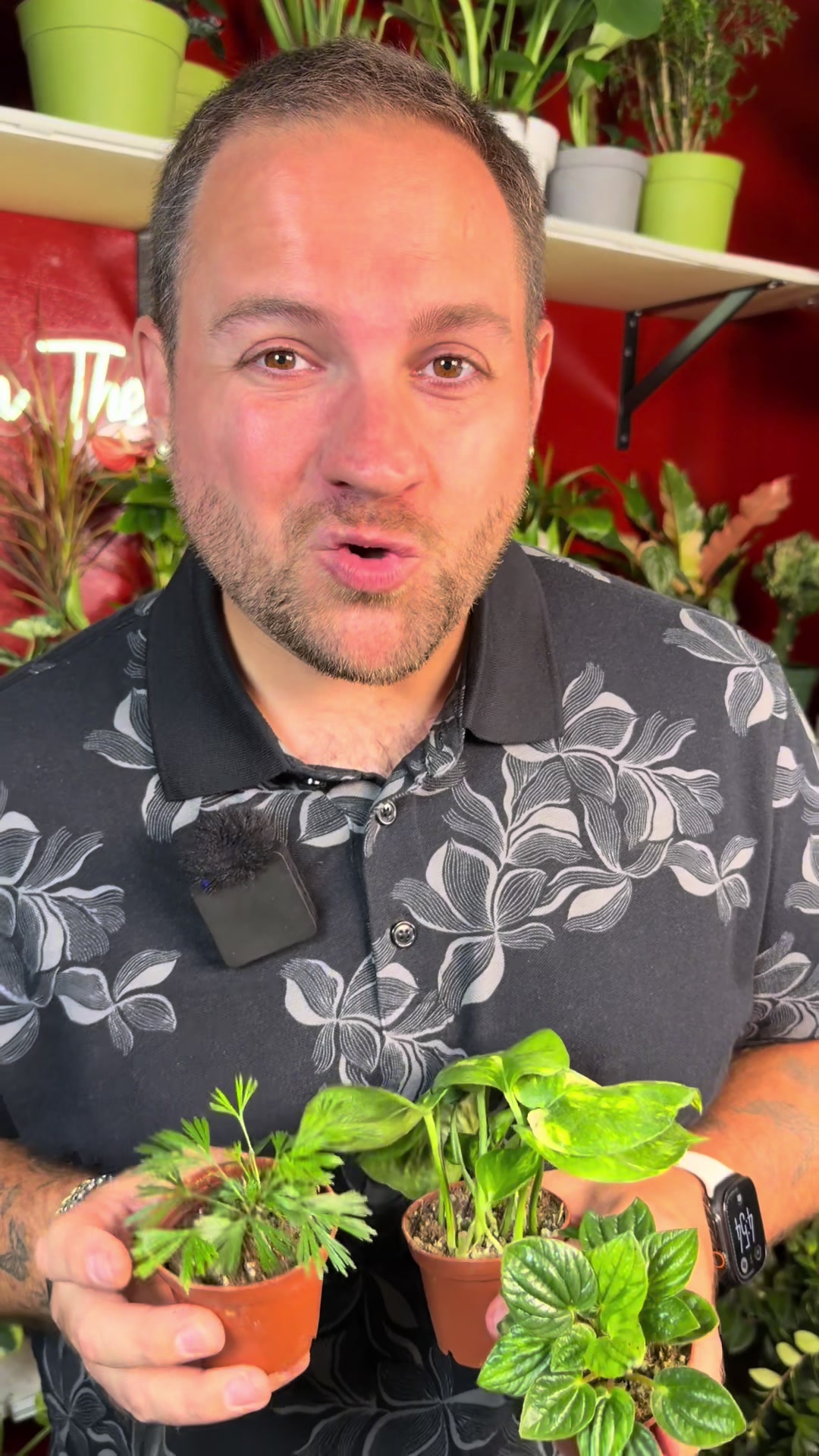 @Brandon The Plant Guy
