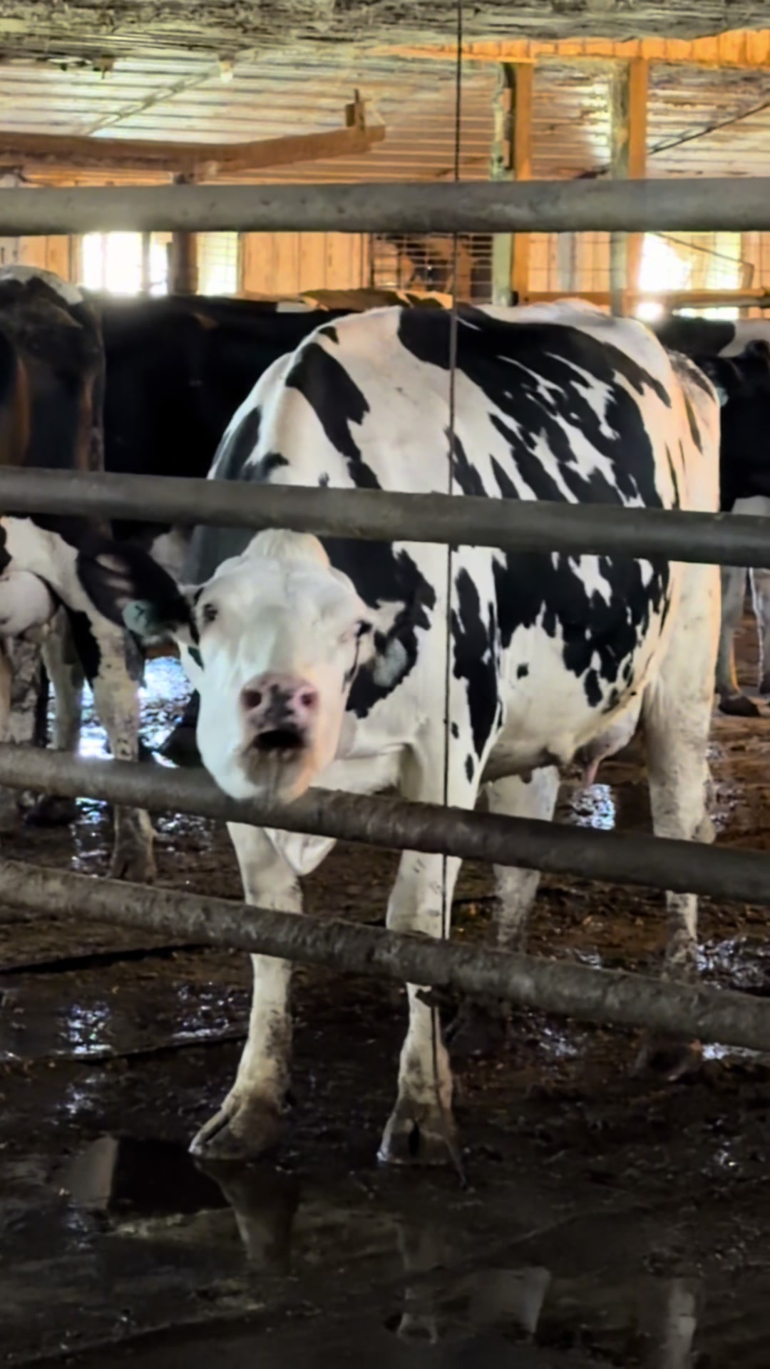 @RedOakAcres