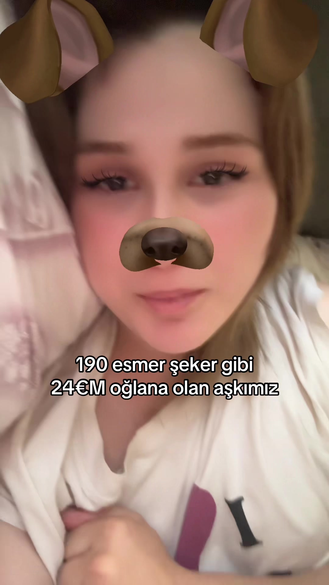 @allarqx🚩