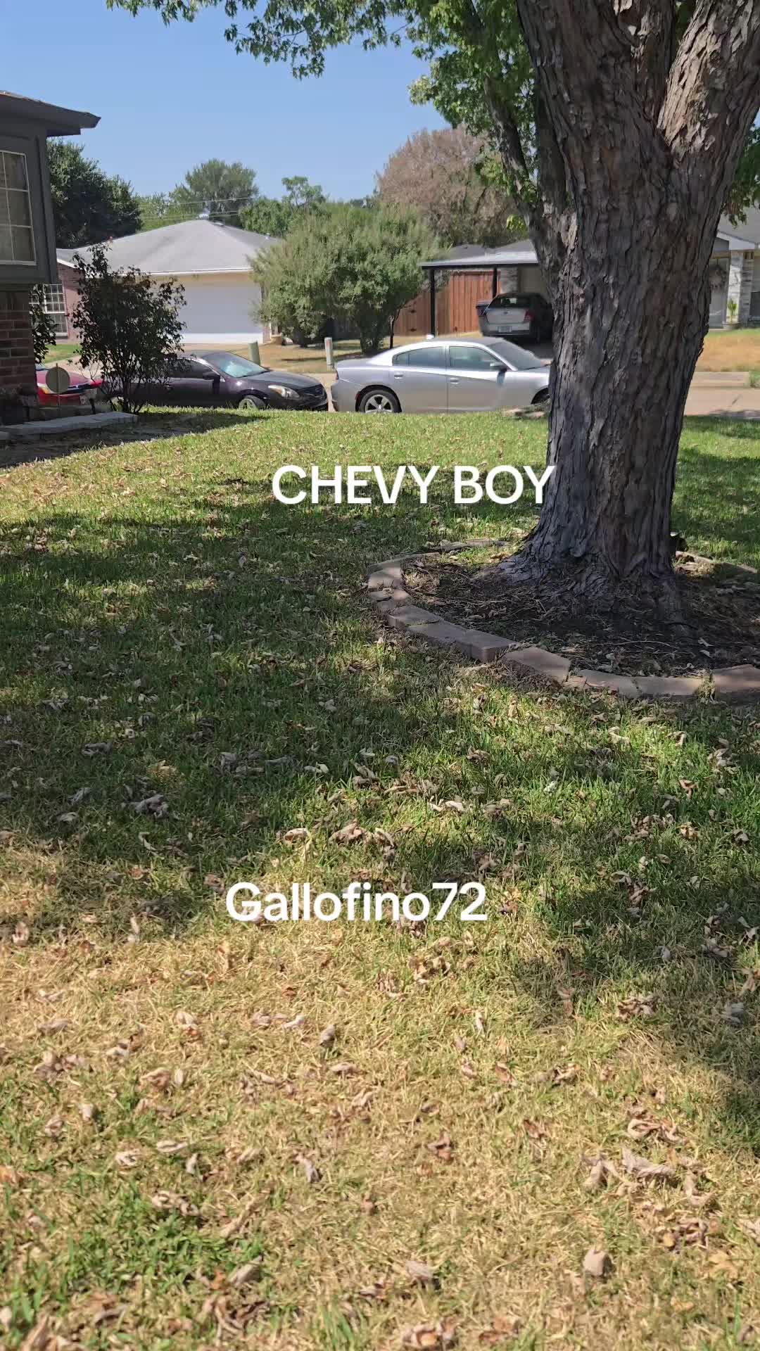 @ElGalloFino