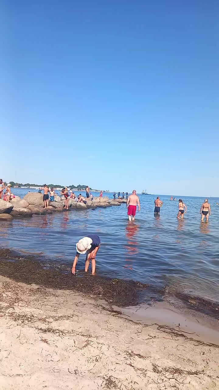 @ludmila