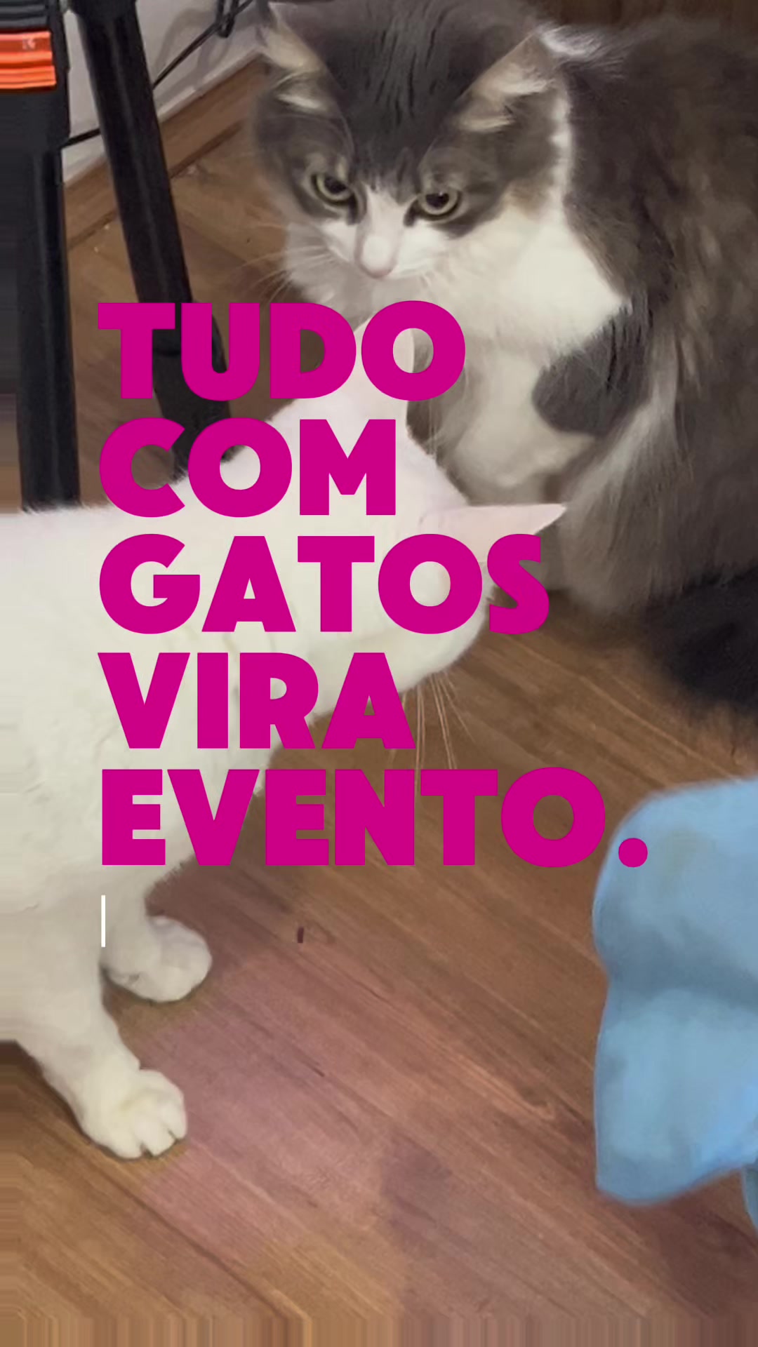 @arealcabulosa