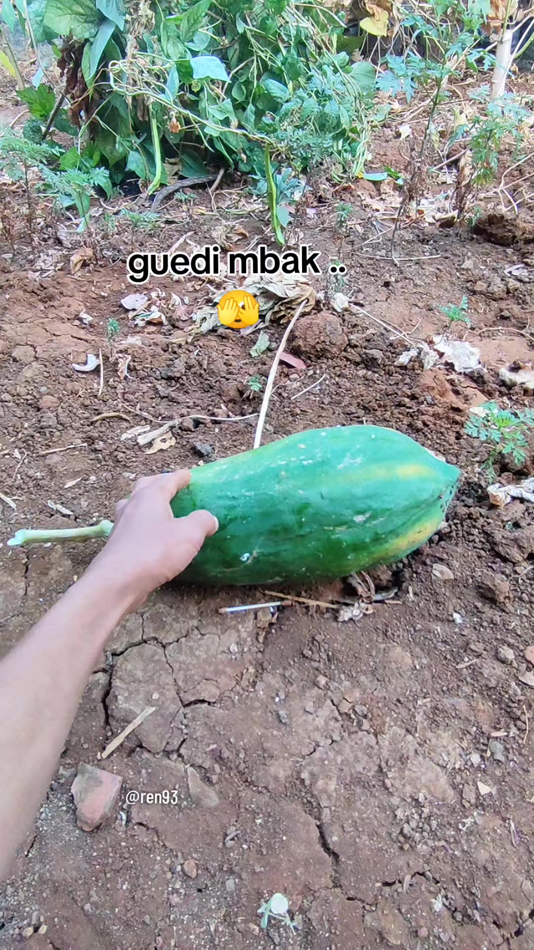 @Mas Ren