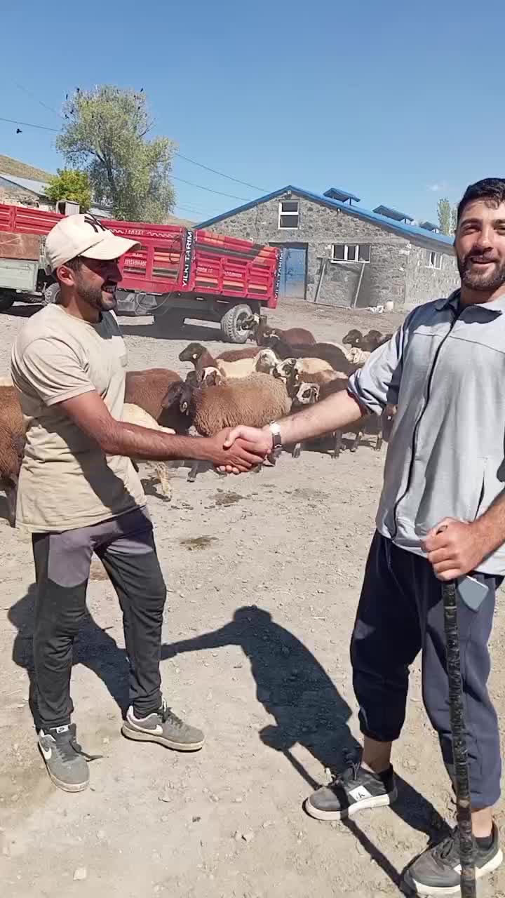 @ferocan_7636