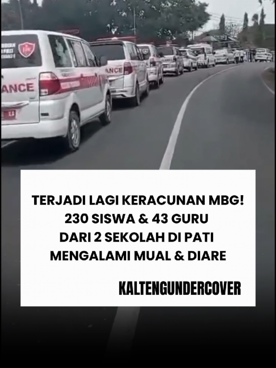 @kaltengundercover