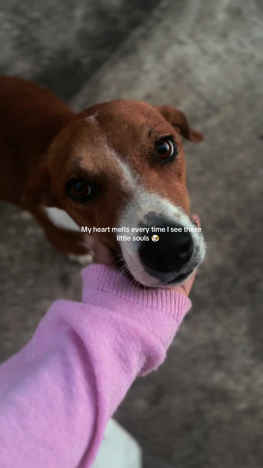 @🌻