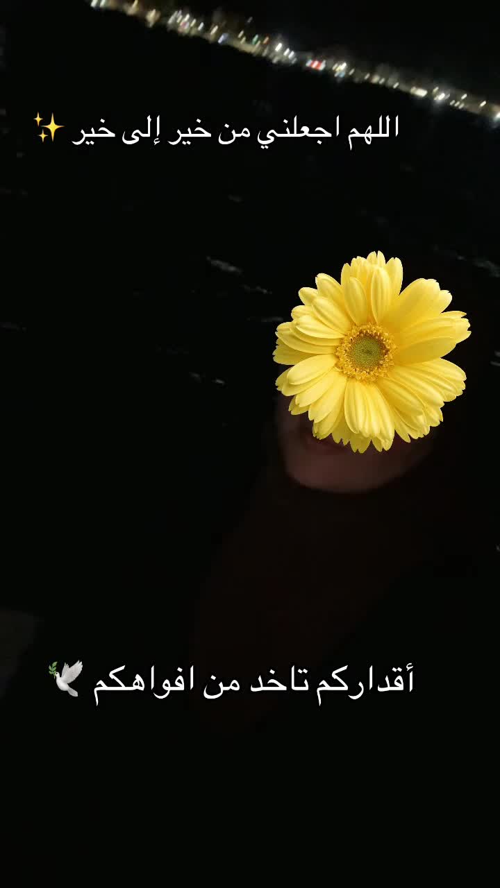 @meriem foula