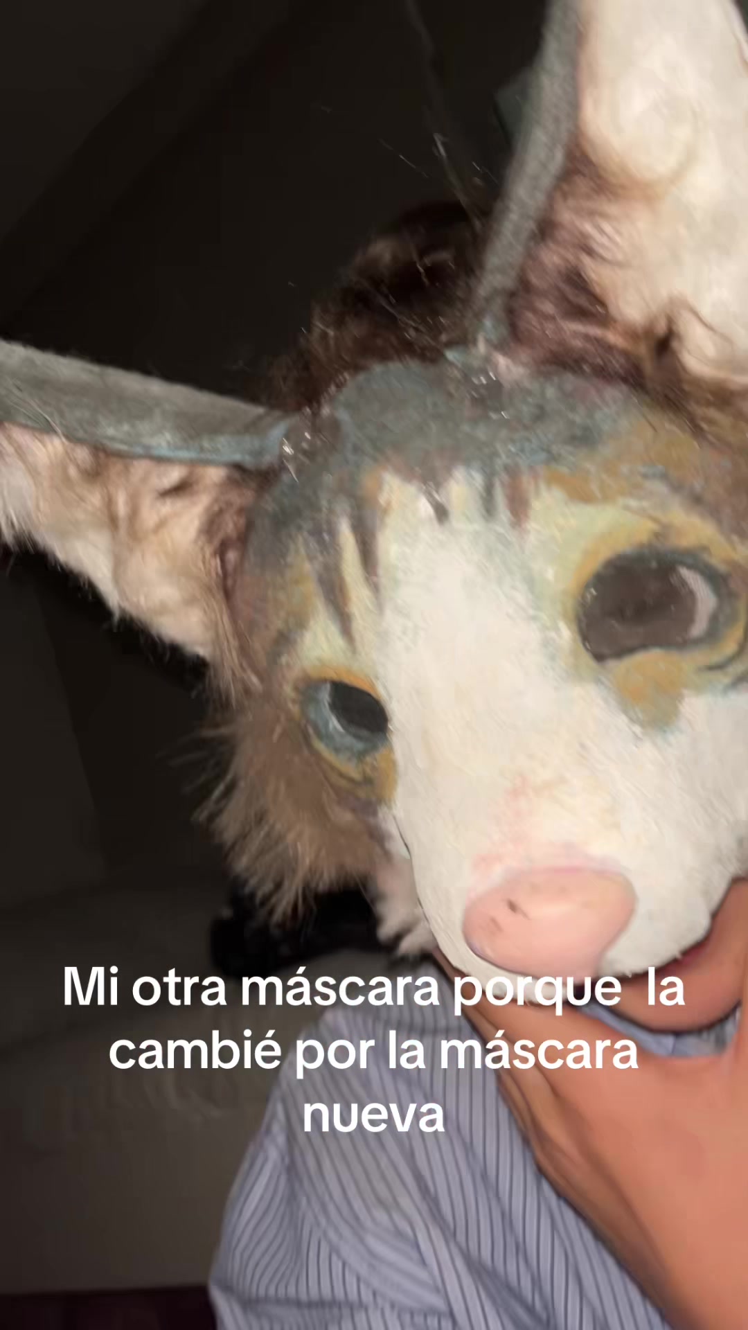 @Paniu:3