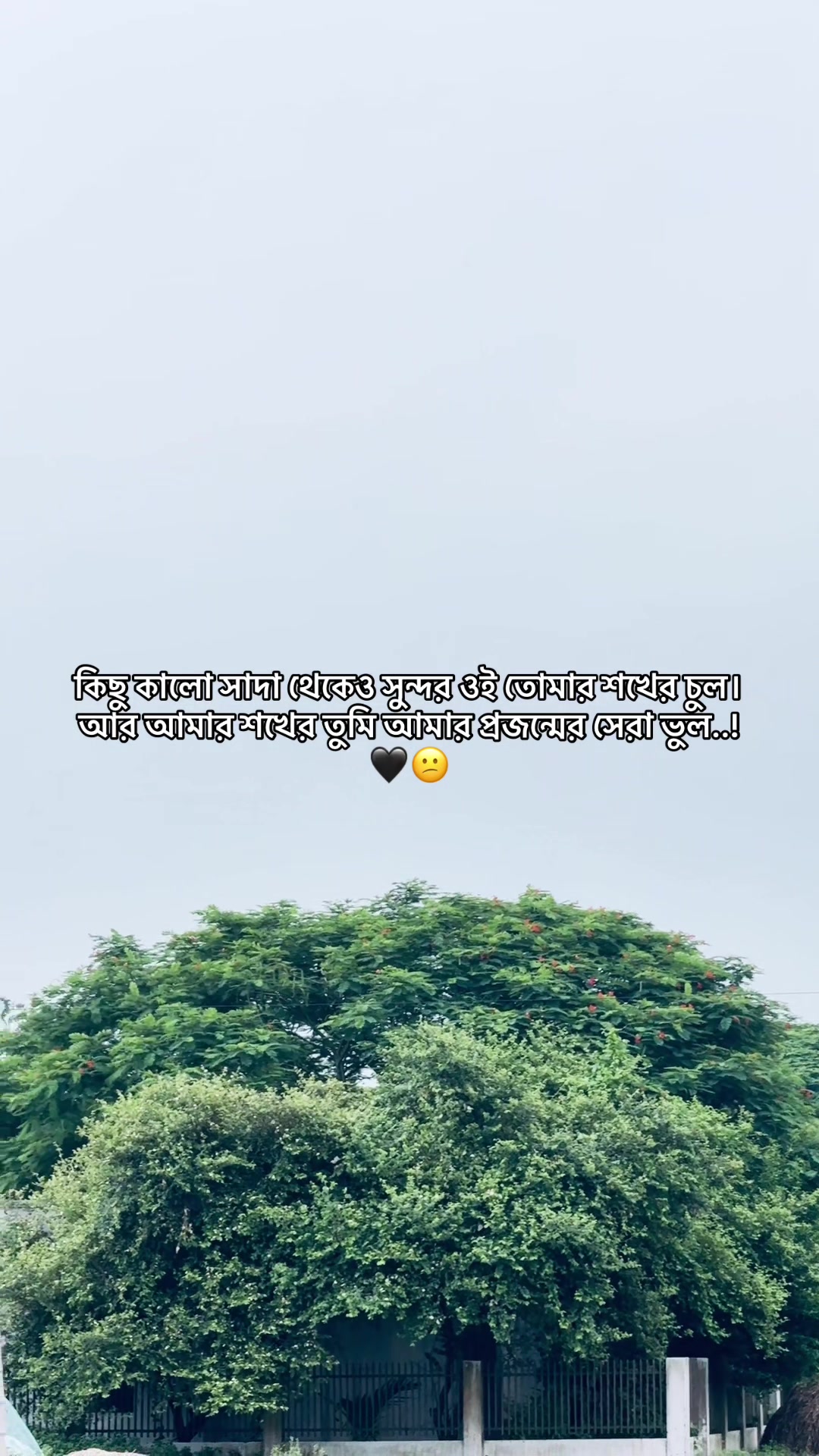 @SA JI N ⚡⚜️