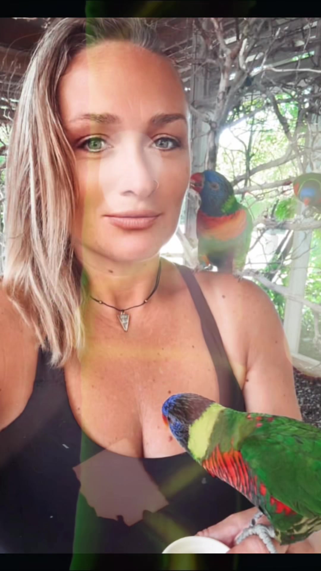 @yourmidwestwitch