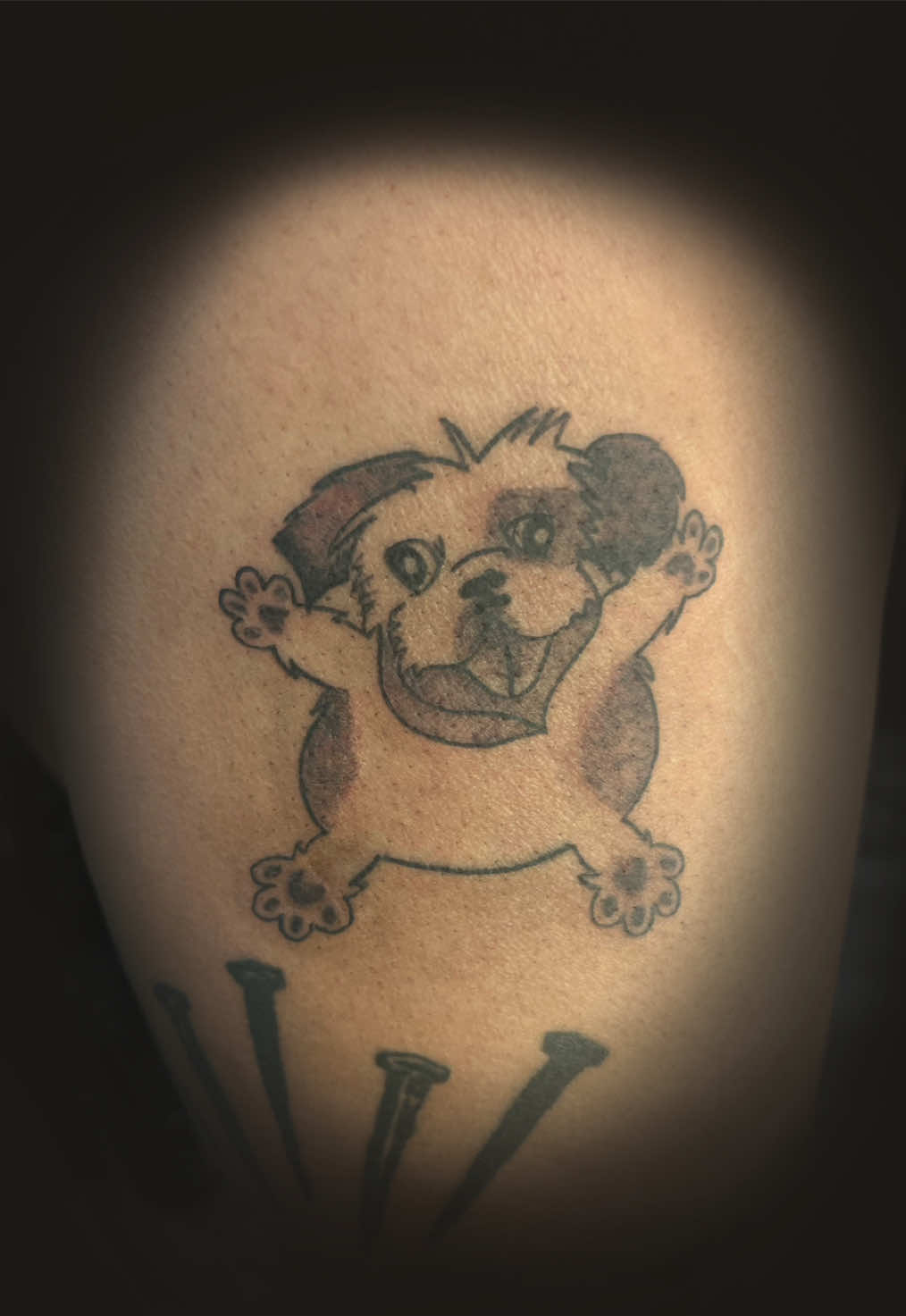 @tattervan_