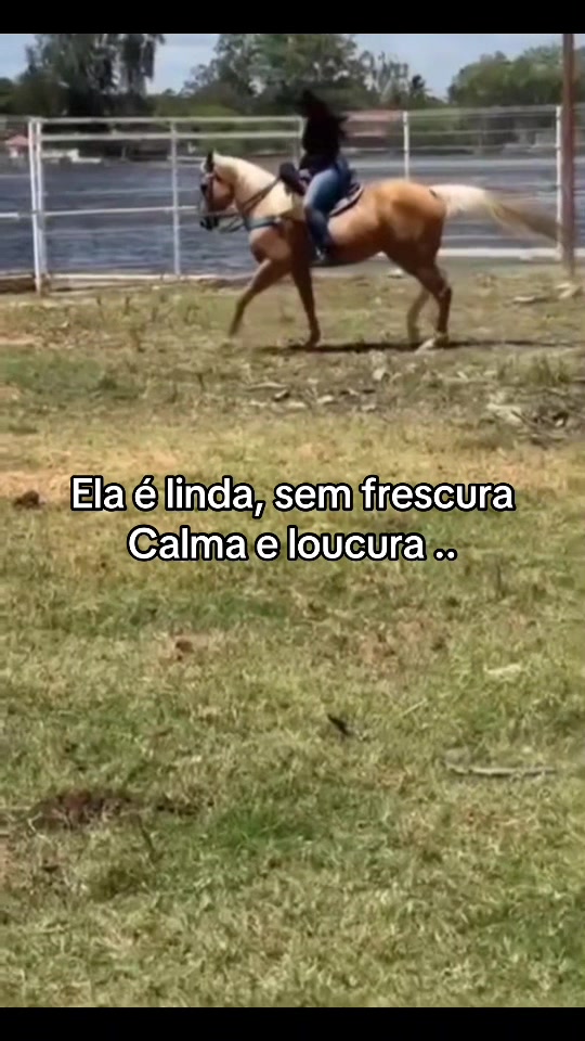 @nega