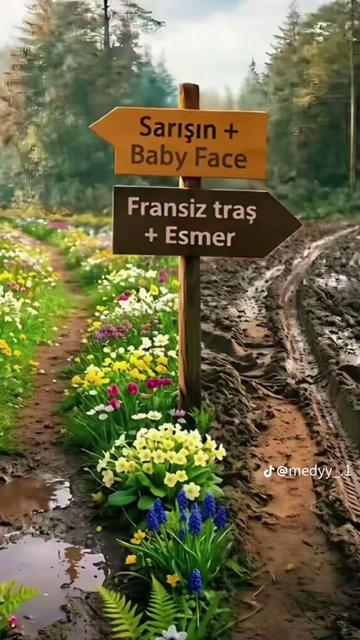 @Adnan Pişken