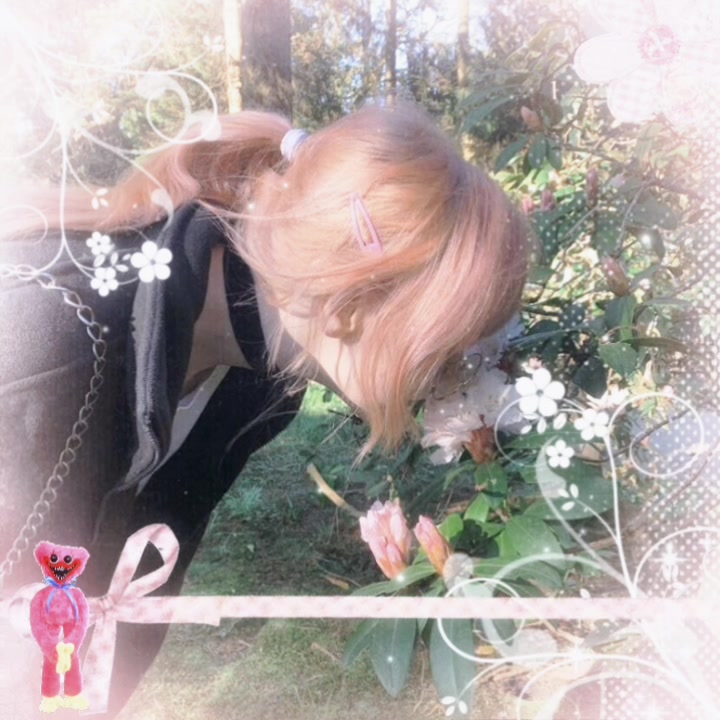 @Sᥲ᥉hᥲ