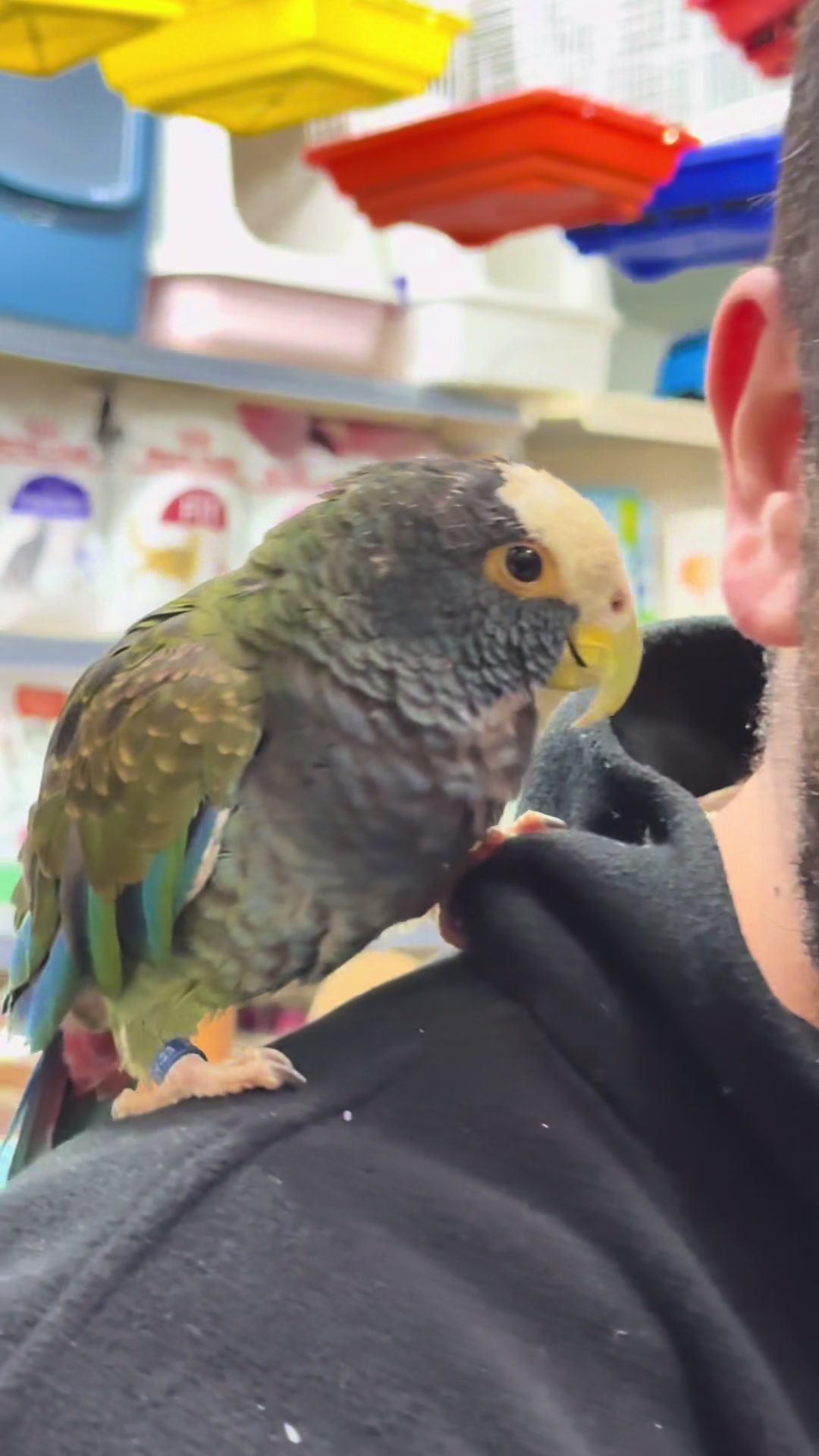 @KANMAZ PETSHOP