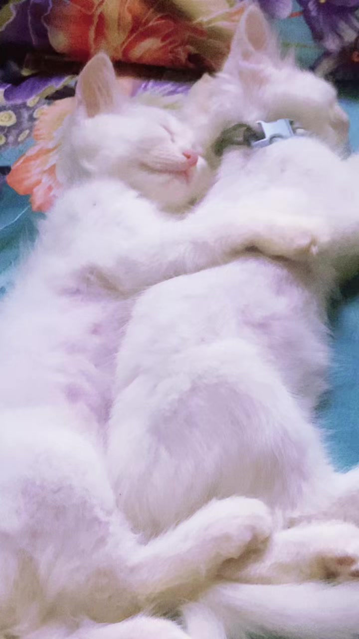 @🥰moni🥰