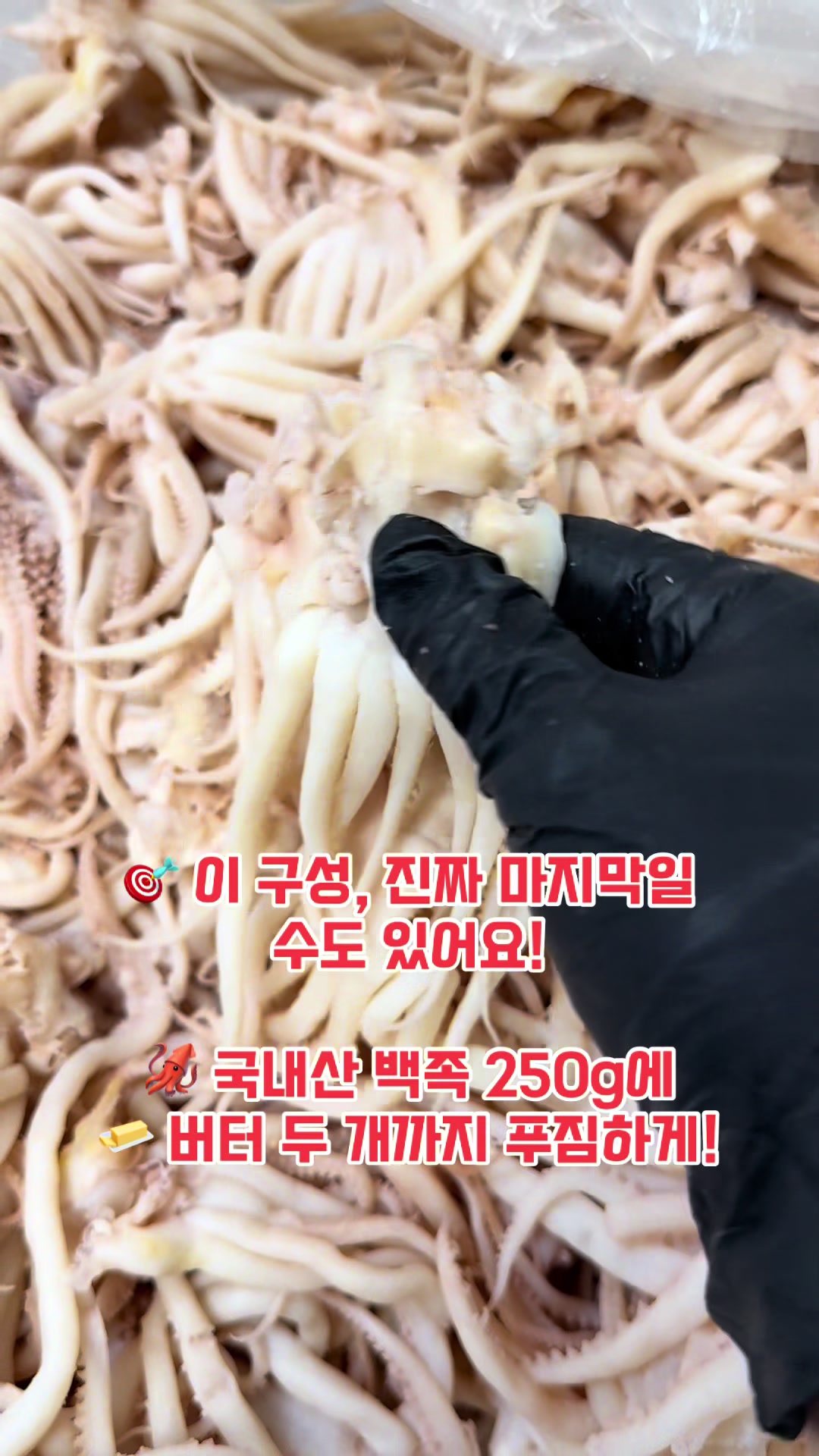 @숭사장(서산마른여자네건어물)🦑