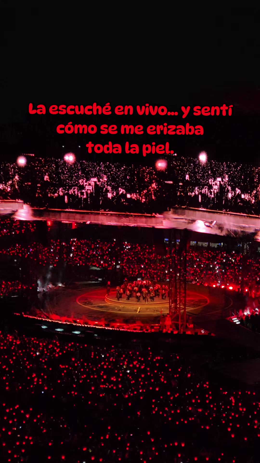 @&bull;-&bull; Menely Kim &bull;-&bull;