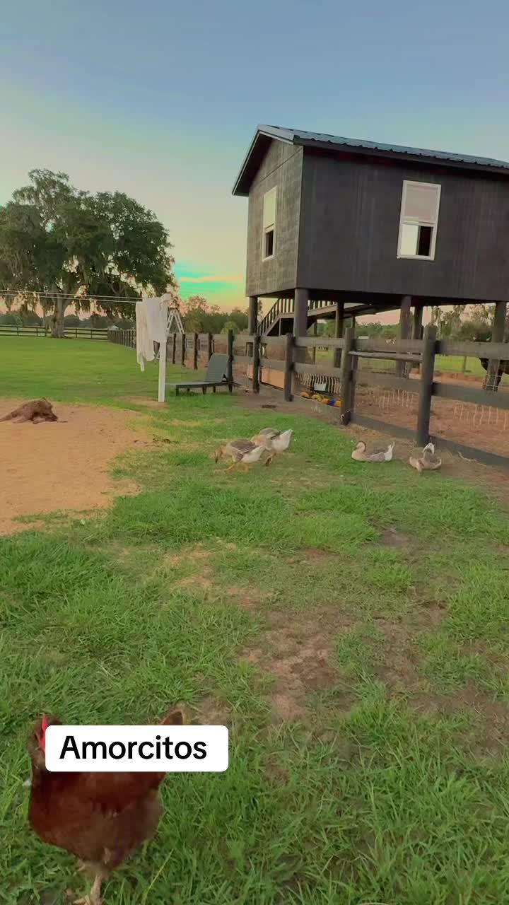 @blueagaveranch