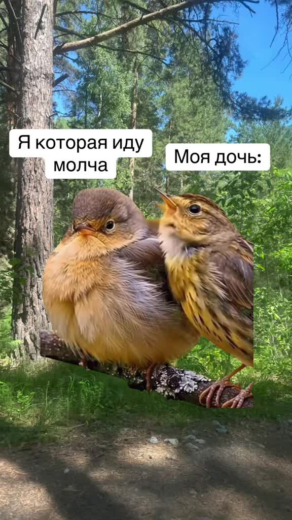 @мама солдата 😎
