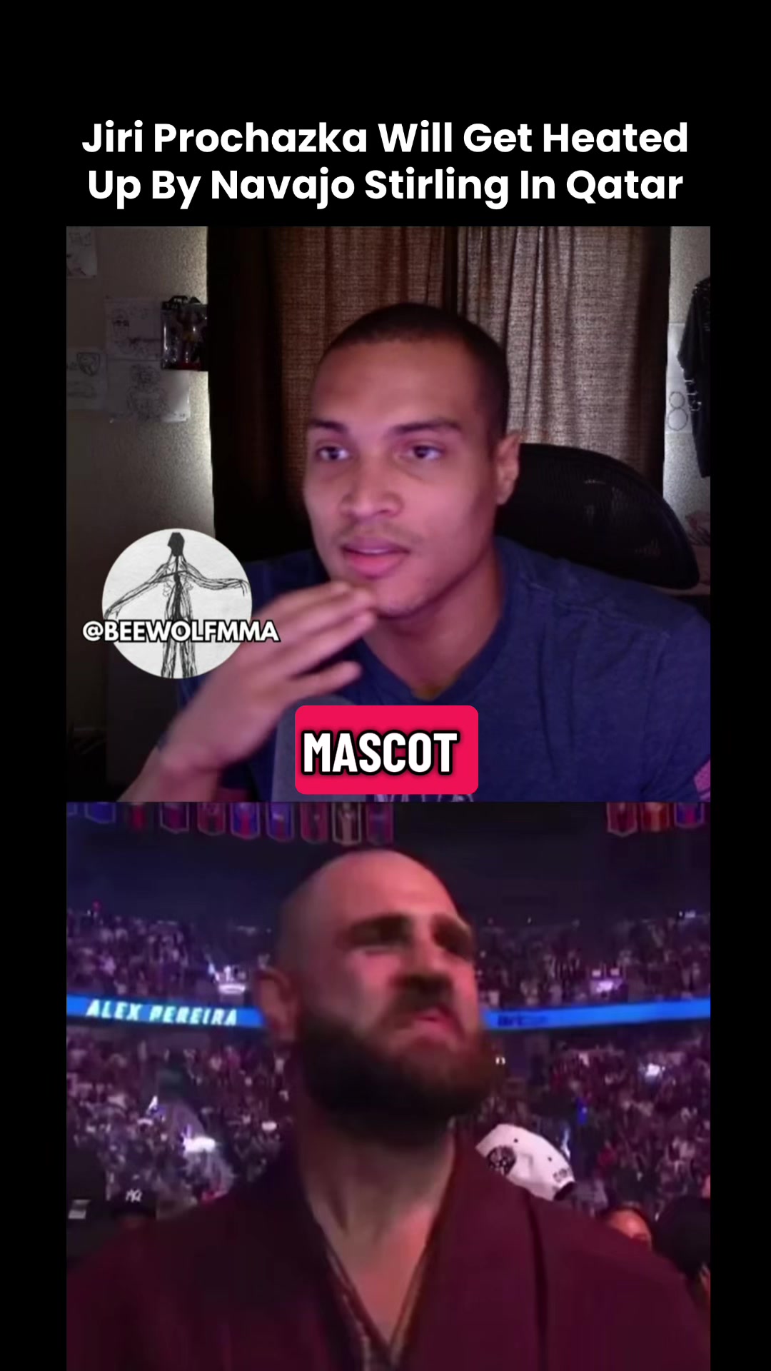 @BeewolfMMA