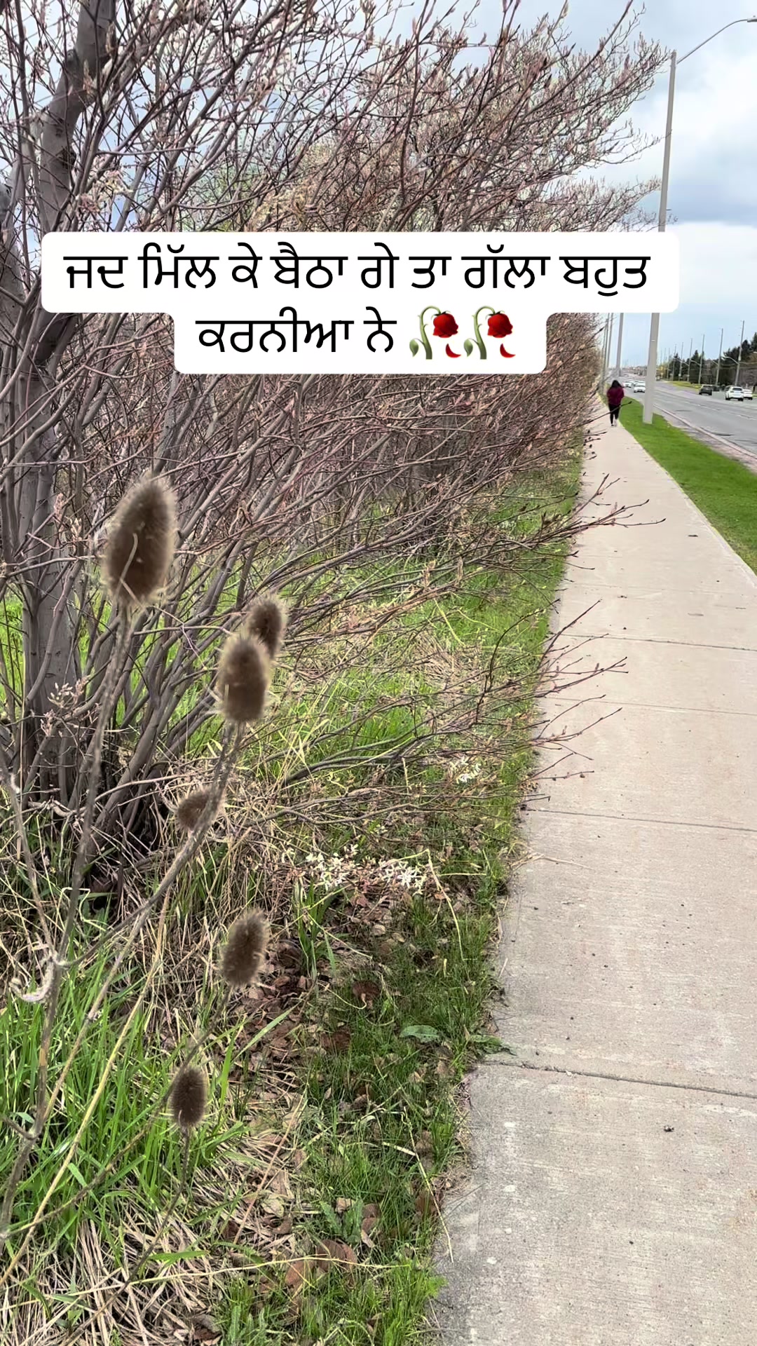 @ਜਜ਼ਬਾਤੀ ਆ 🇨🇦
