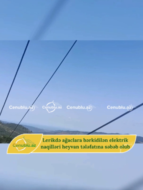 @Cenublu Az