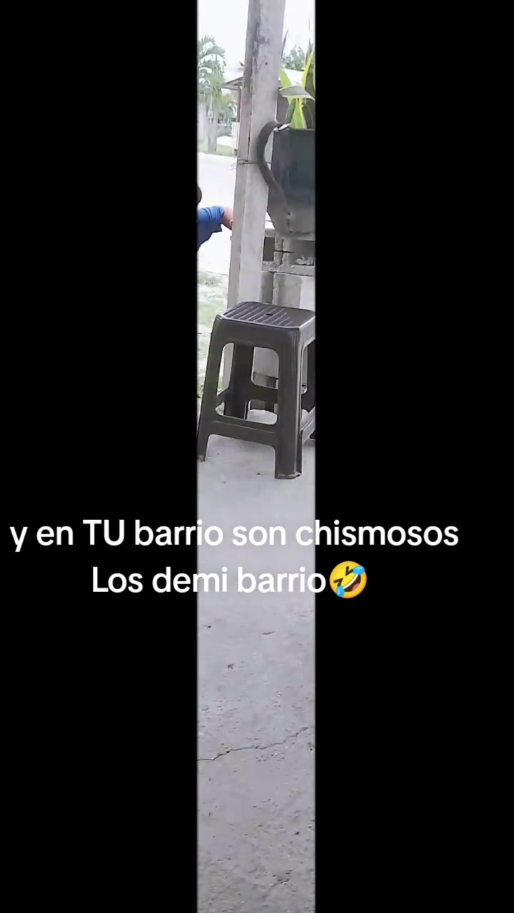@Paola Quintanilla